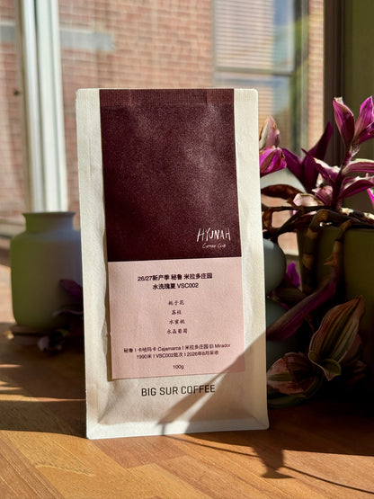 BIG SUR x HYUNAH - EL MIRADOR VSC002 - GEISHA, WASHED - PERU
