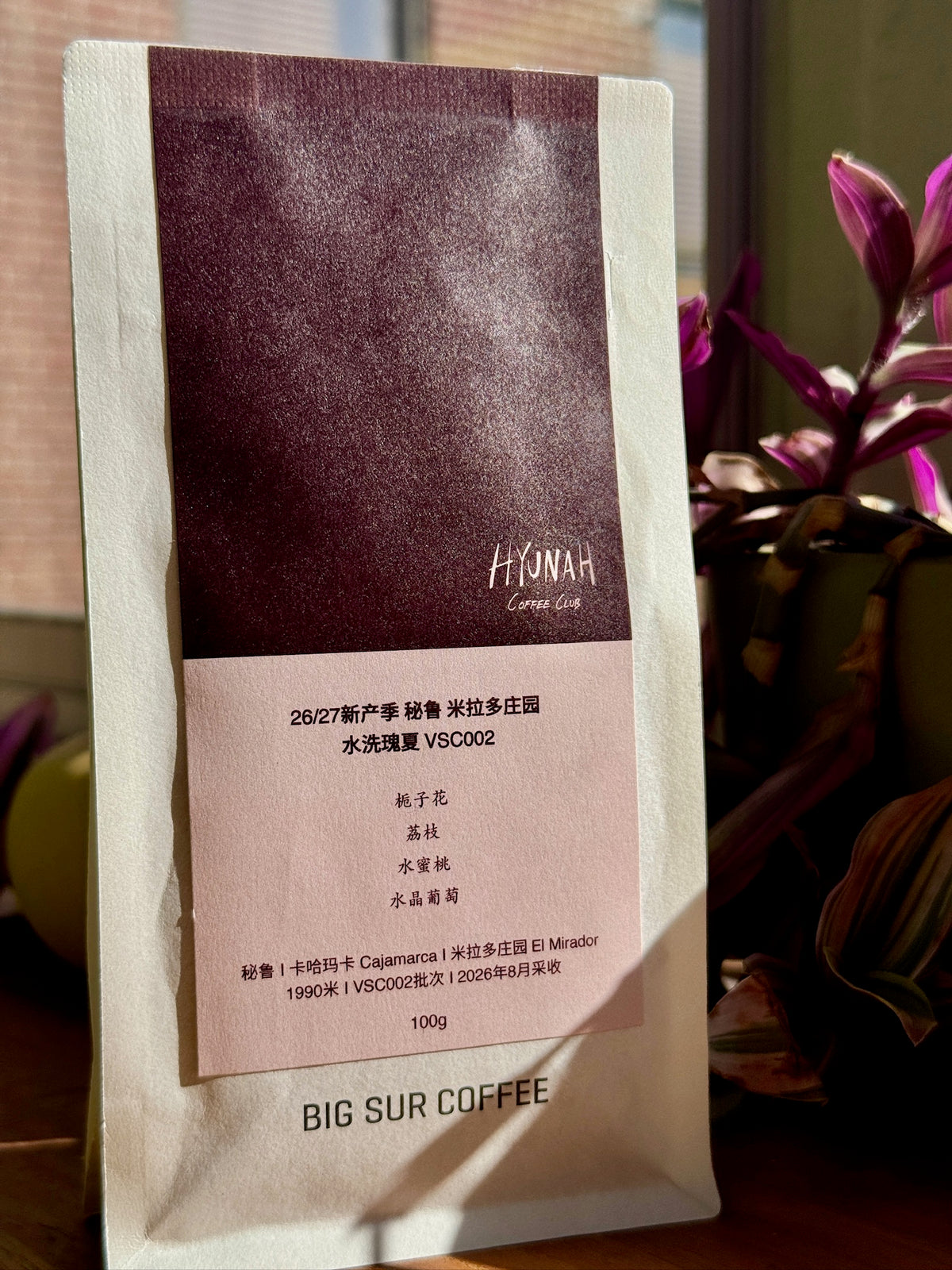 BIG SUR x HYUNAH - EL MIRADOR VSC002 - GEISHA, WASHED - PERU