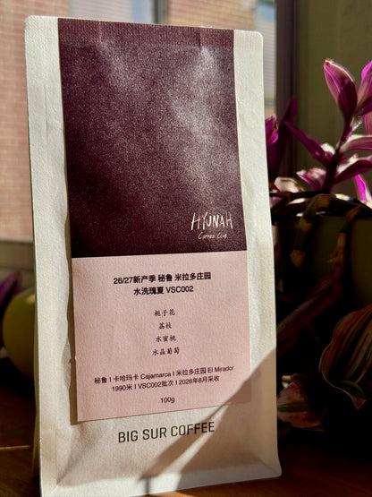 BIG SUR x HYUNAH - EL MIRADOR VSC002 - GEISHA, WASHED - PERU