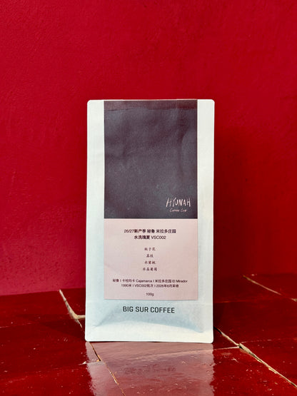 BIG SUR x HYUNAH - EL MIRADOR VSC002 - GEISHA, WASHED - PERU