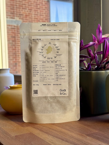 LA SIRIA 2026 NEW CROP - GEISHA, WASHED - COLOMBIA