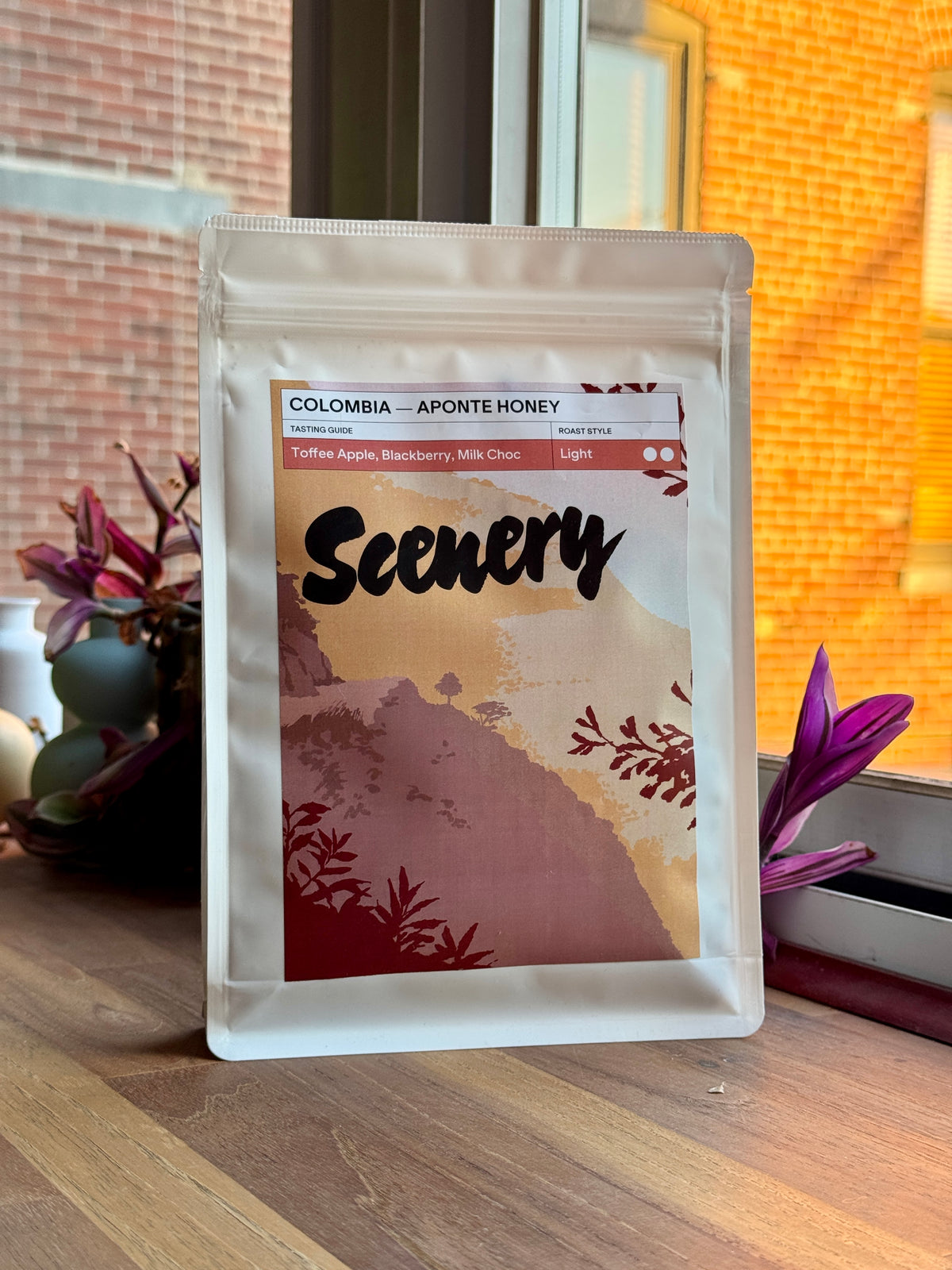 APONTE [25/26] - CATURRA, TRADITIONAL HONEY - COLOMBIA