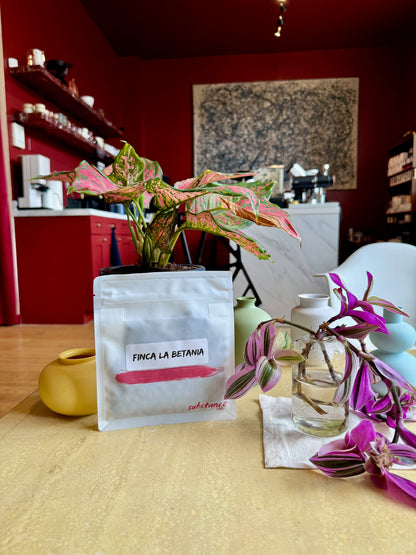 FINCA LA BETANIA - GEISHA, SEMI-WASHED - COLOMBIA