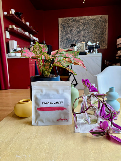FINCA EL JARDIN - CHIROSO, WASHED - COLOMBIA