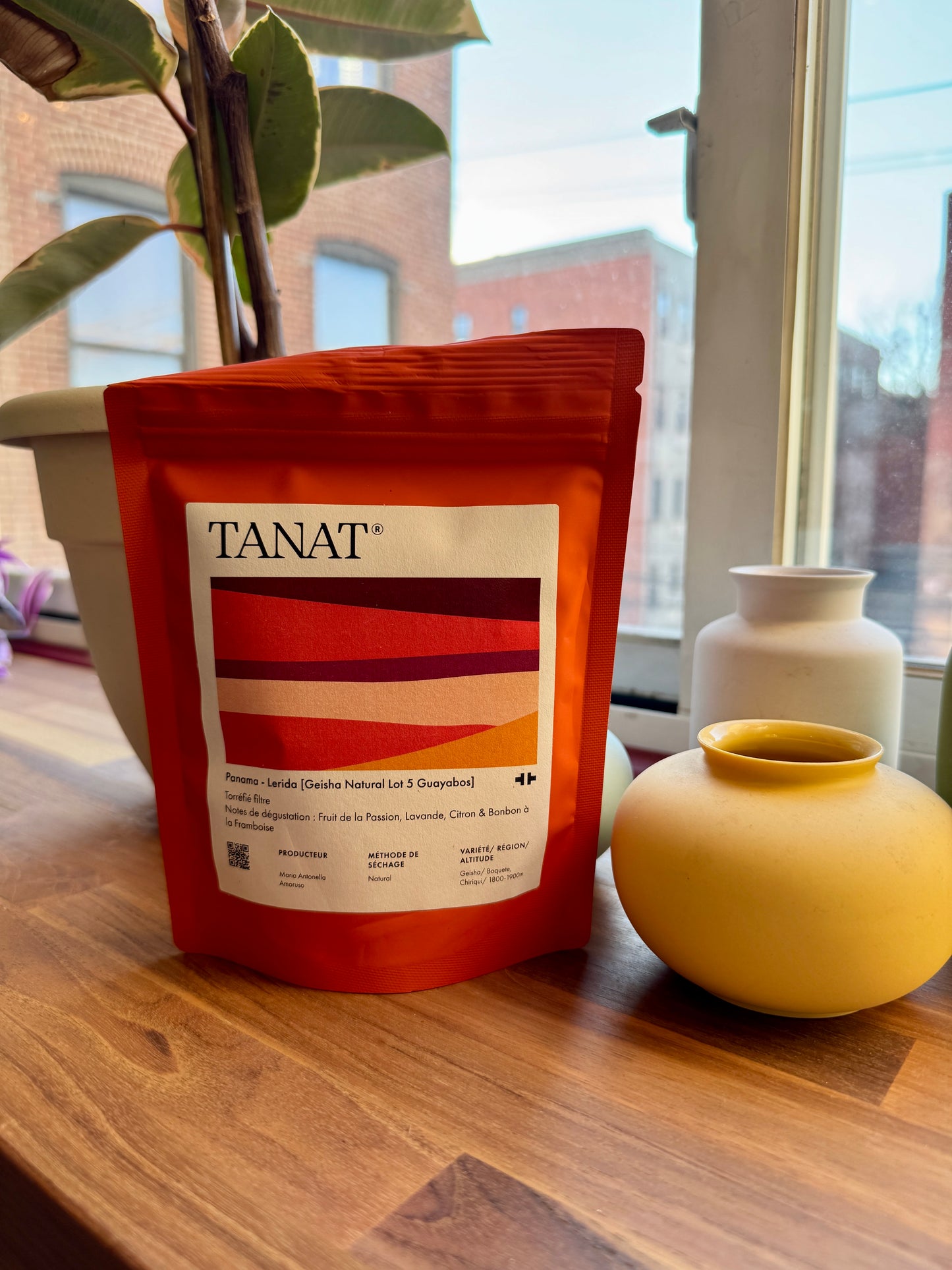 TANAT - LERIDA GEISHA – NATURAL – LOT 5 GUAYABOS