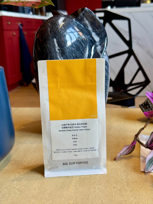 BAMBITO ESTATE GOLDEN TROPIC - YELLOW CATUAI, NATURAL - PANAMA
