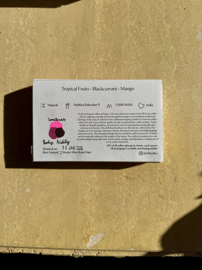 GEMS OF ARAKU CRIMSON GAINS - NATURAL - INDIA