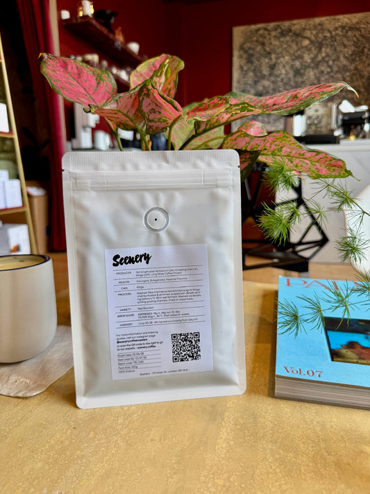 GIKU FW LOT #5 [25/26] – RED BOURBON, TRADITIONAL WASHED – BURUNDI