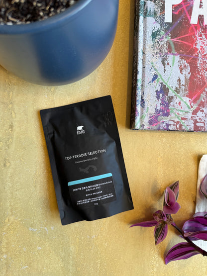 FINCA LERIDA MICHELA ESTATE 0787 - SL34, WASHED - PANAMA