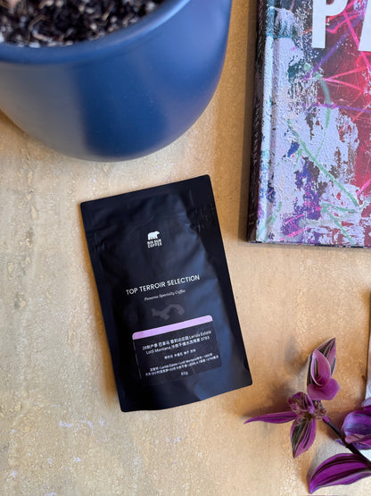 LERIDA ESTATE LOT 5 MONTANA 0793 - GEISHA, COLD ROOM DRY WASHED - PANAMA