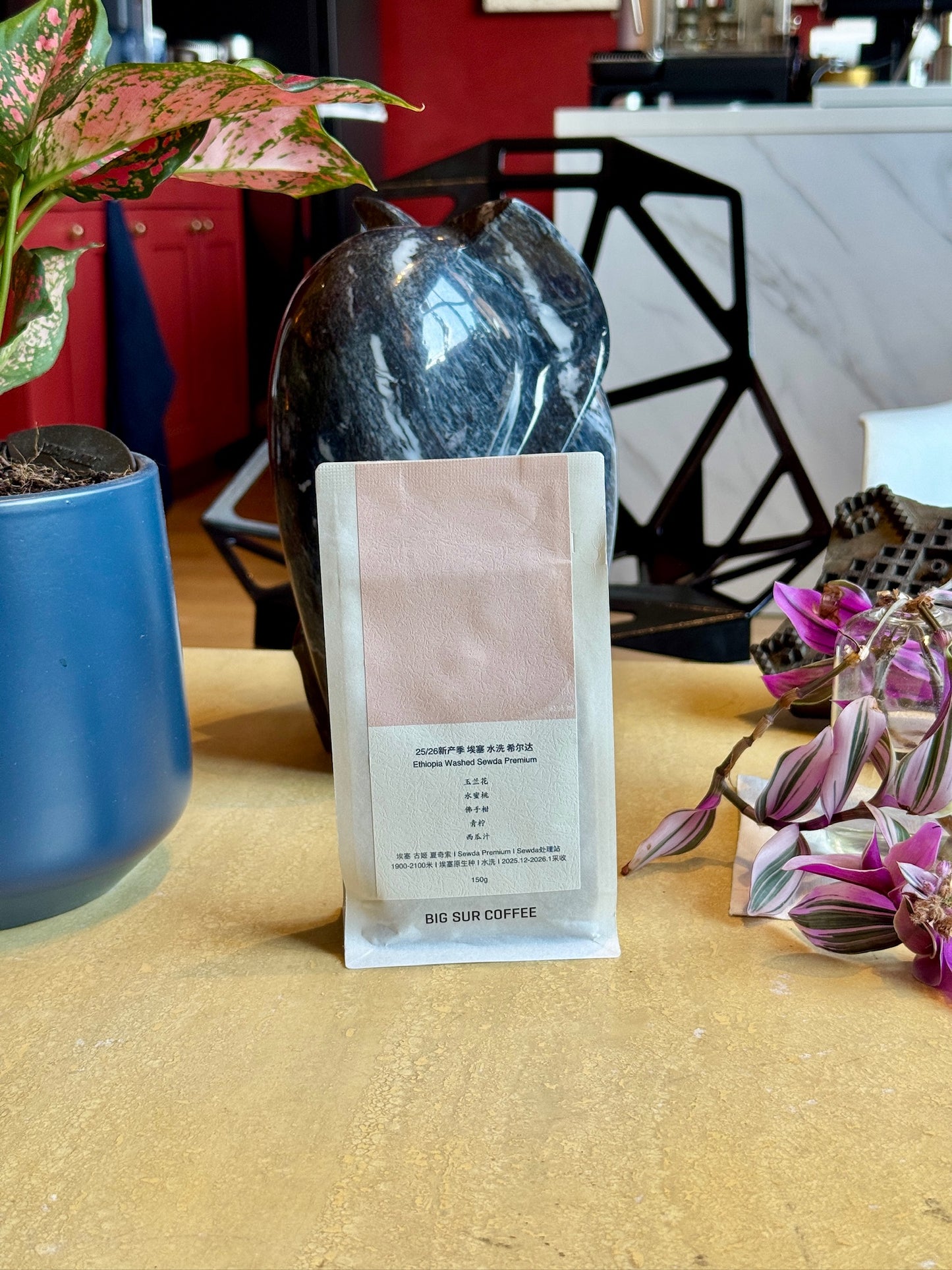 SEWDA G1 PREMIUM - HEIRLOOM, WASHED - ETHIOPIA