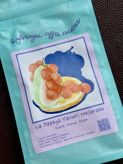 LA PAPAYA YACURI - TYPICA MEJORADO, YEAST WASHED - ECUADOR