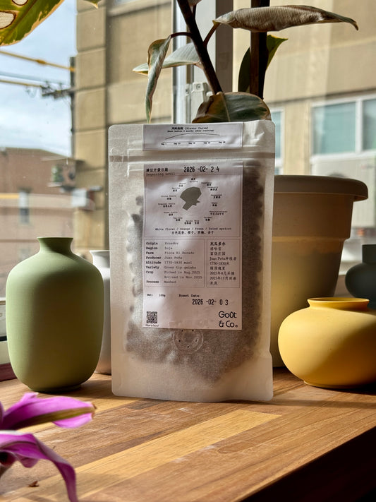 EL DORADO – GREEN TIP GEISHA, WASHED – ECUADOR