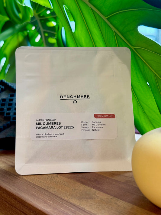 MIL CUMBRES PACAMARA - LOT 28225, NATURAL - PANAMA