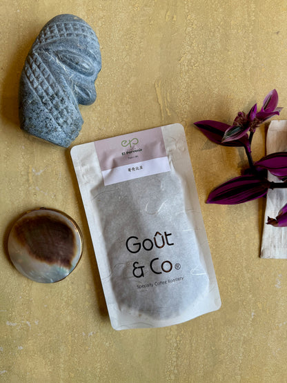 EL PORVENIR – TABI, WASHED – COLOMBIA