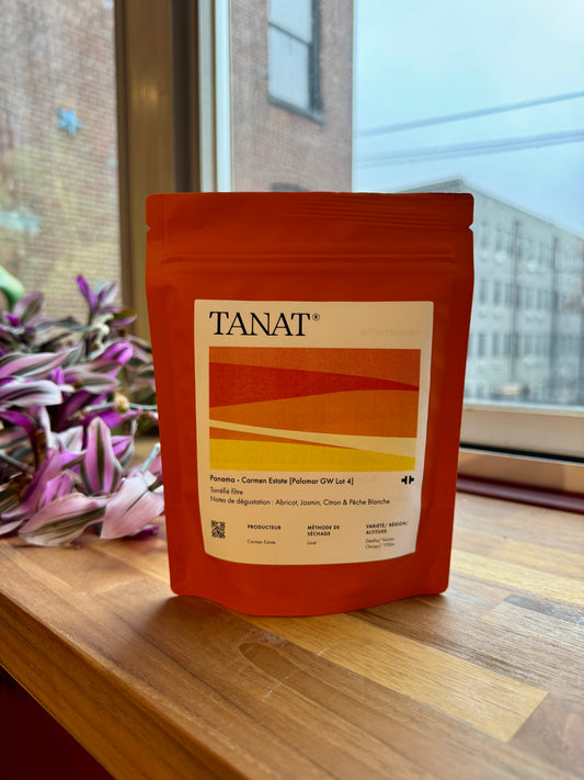 CARMEN ESTATE – PALOMAR GW LOT 4 - GEISHA, WASHED - PANAMA