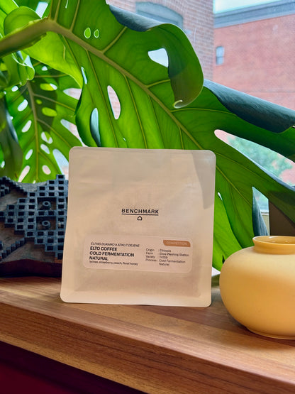 ELTO - 74158, COLD FERMENT NATURAL - ETHIOPIA
