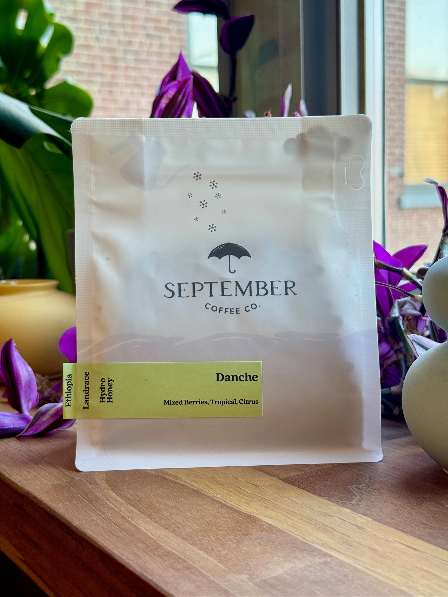 DANCHE - HEIRLOOM, HYDRO HONEY - ETHIOPIA