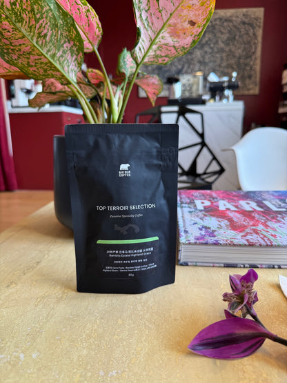 BAMBITO ESTATE “HIGHLAND GRACE” - GEISHA, WASHED - PANAMA