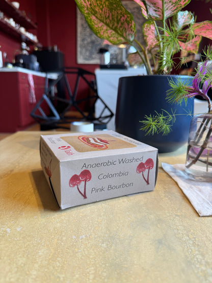 LINARCO RODRIGUEZ - PINK BOURBON, ANAEROBIC WASHED - COLOMBIA