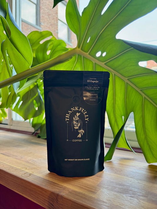 EL ESPEJO - PINK BOURBON, WASHED - COLOMBIA