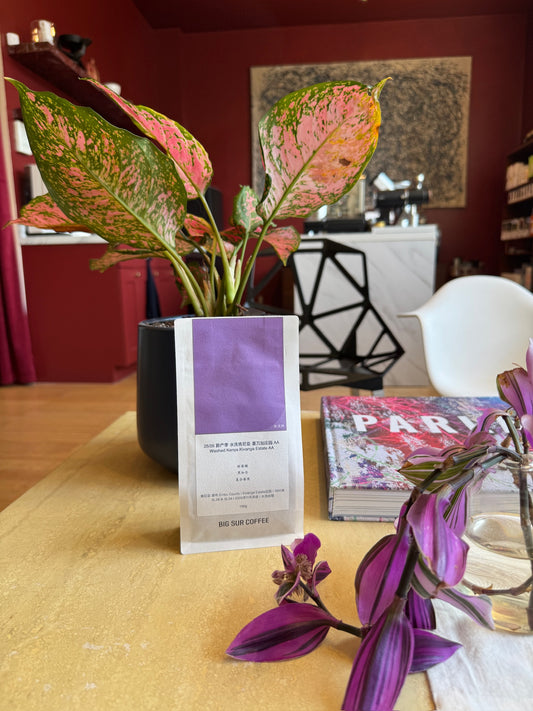 KIVANGA ESTATE AA – SL28 & SL34, WASHED - KENYA