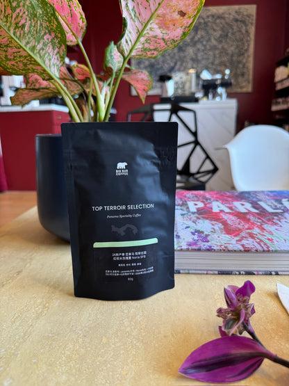 ESMERALDA SPECIAL NORIA 5FB - GEISHA, WASHED - PANAMA