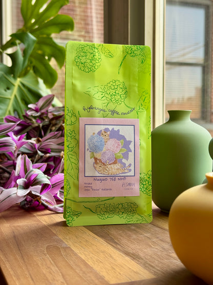 HYDRANGEA x HYUNAH - NUGUO 768 NHF - GESHA, HONEY - PANAMA