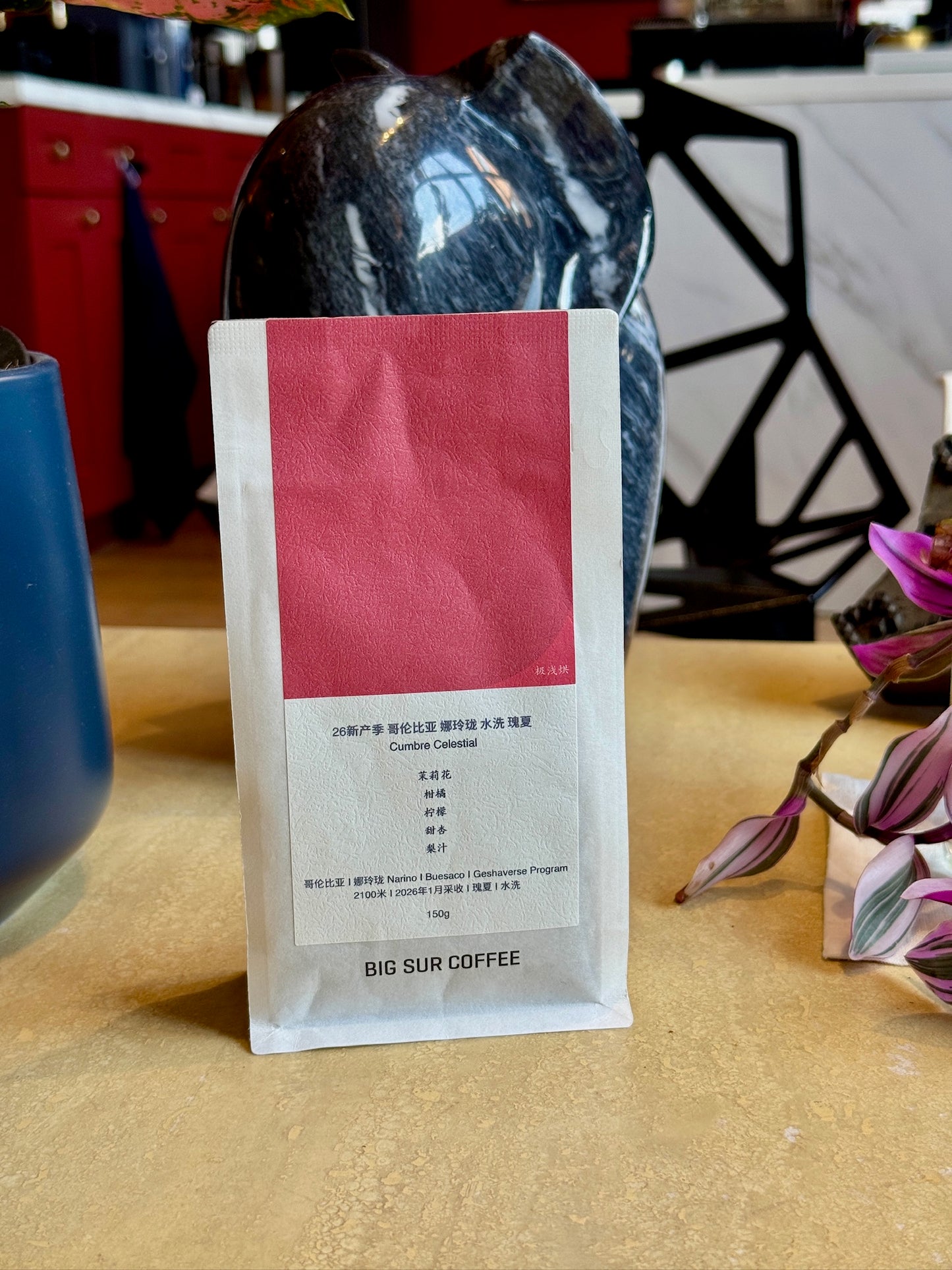 NARIÑO CUMBRE CELESTIAL - GEISHA, WASHED - COLOMBIA