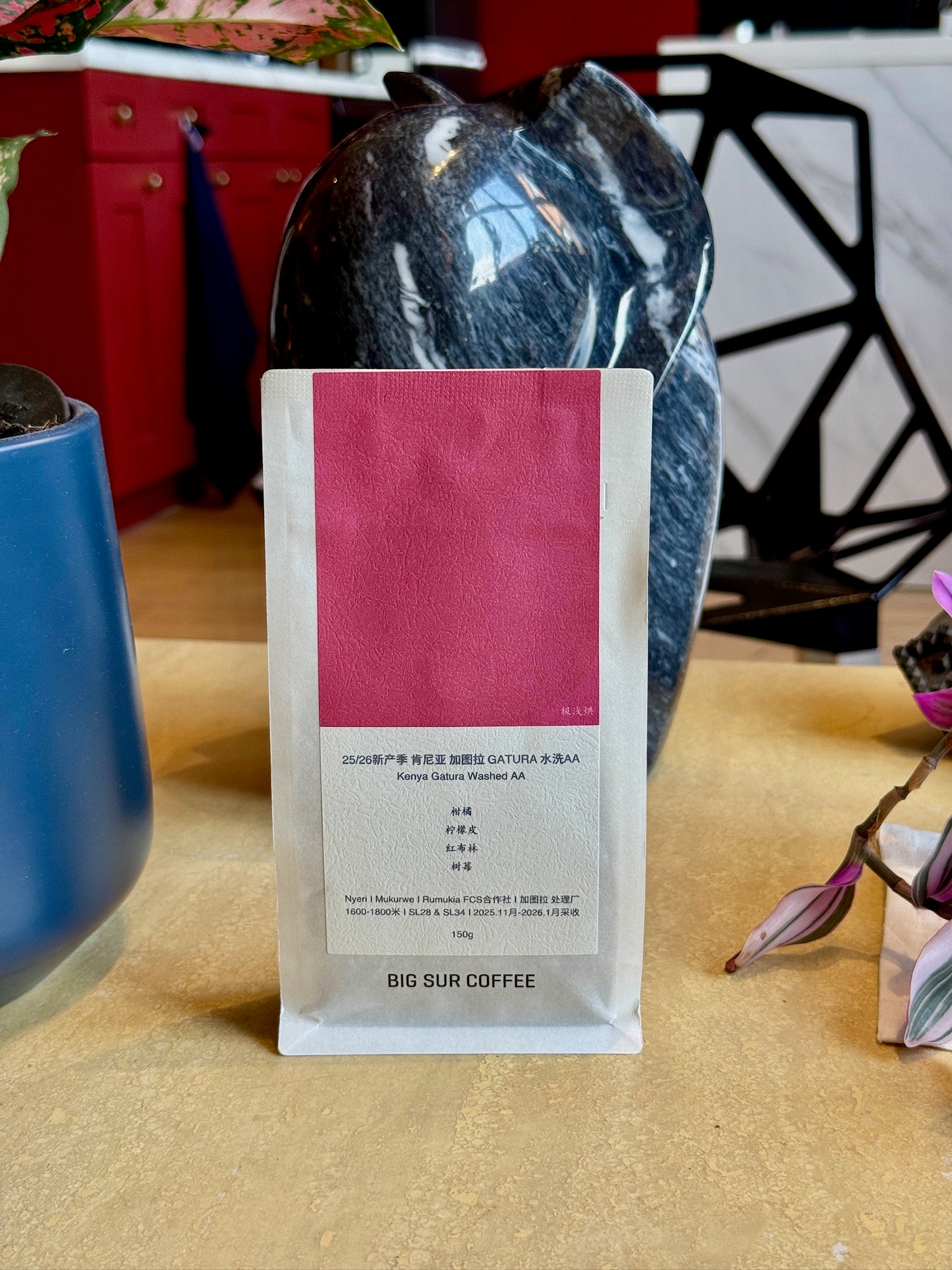 GATURA AA - SL28 & SL34, WASHED - KENYA