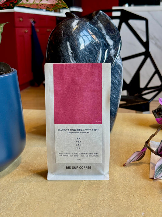 GATURA AA - SL28 & SL34, WASHED - KENYA