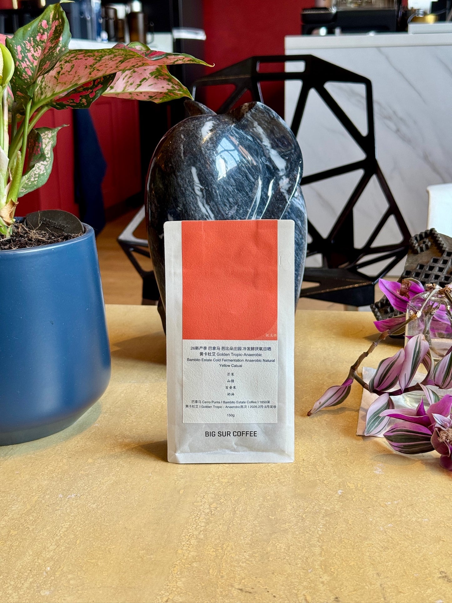 BAMBITO ESTATE GOLDEN TROPIC - YELLOW CATUAI, COLD FERMENTATION ANAEROBIC NATURAL - PANAMA