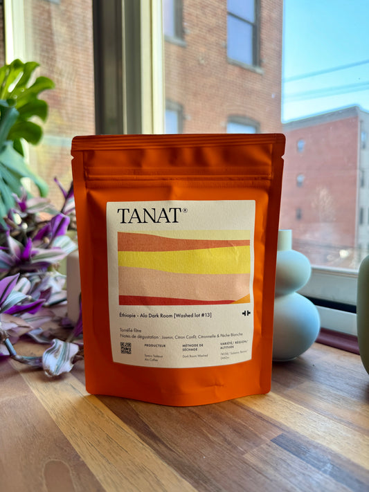 ALO DARK ROOM [WASHED LOT #13] - 74158, WASHED - ETHIOPIA