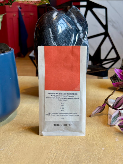 BAMBITO ESTATE GOLDEN TROPIC - YELLOW CATUAI, COLD FERMENTATION ANAEROBIC NATURAL - PANAMA