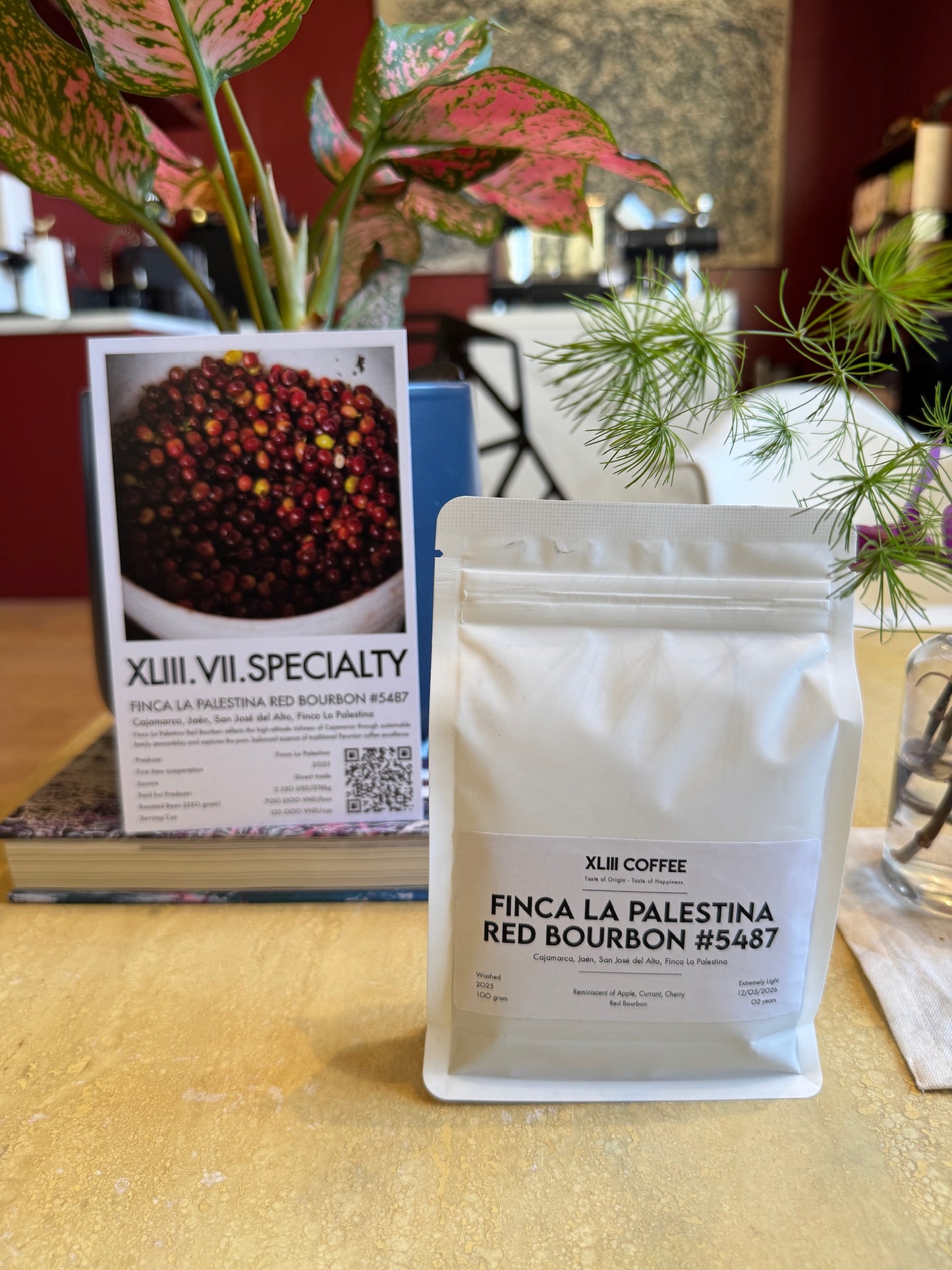 FINCA LA PALESTINA #5487 - RED BOURBON, WASHED - PERU