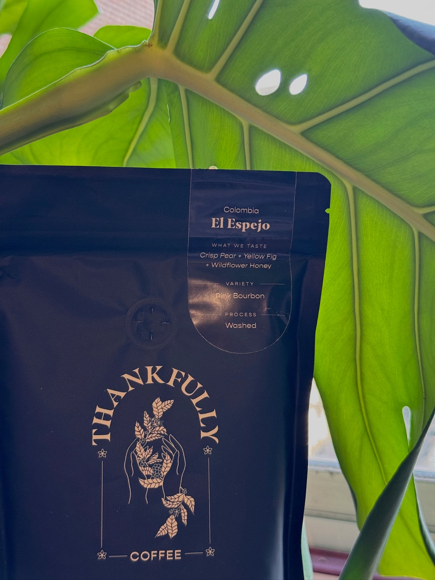 EL ESPEJO - PINK BOURBON, WASHED - COLOMBIA