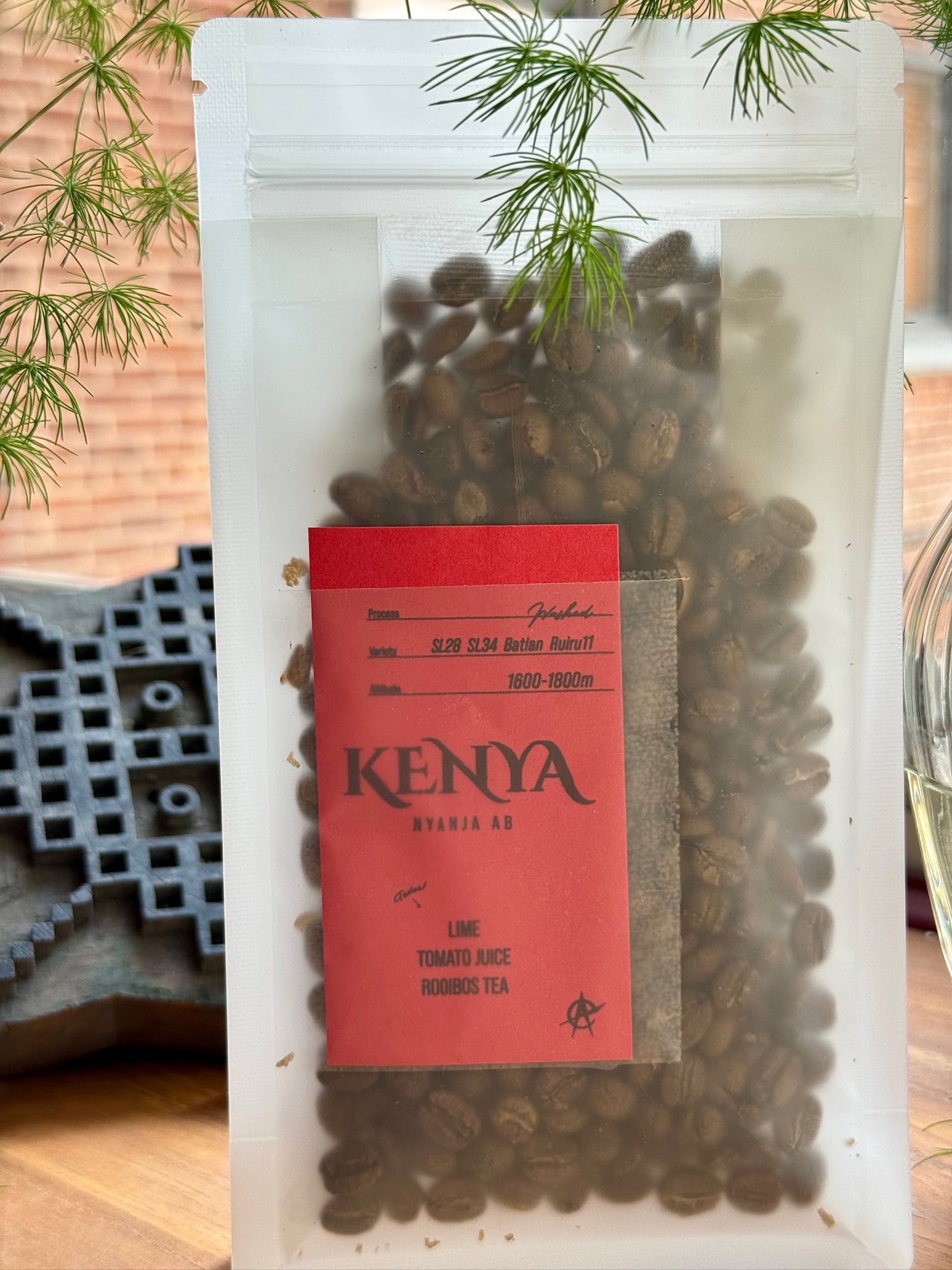 NYANJA AB - SL28, SL34, BATIAN, RUIRU 11, WASHED - KENYA