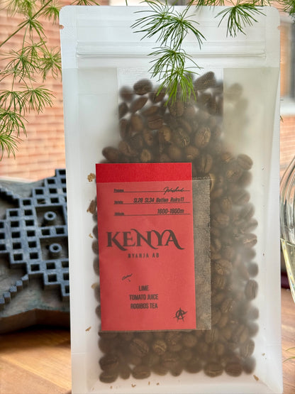 NYANJA AB - SL28, SL34, BATIAN, RUIRU 11, WASHED - KENYA