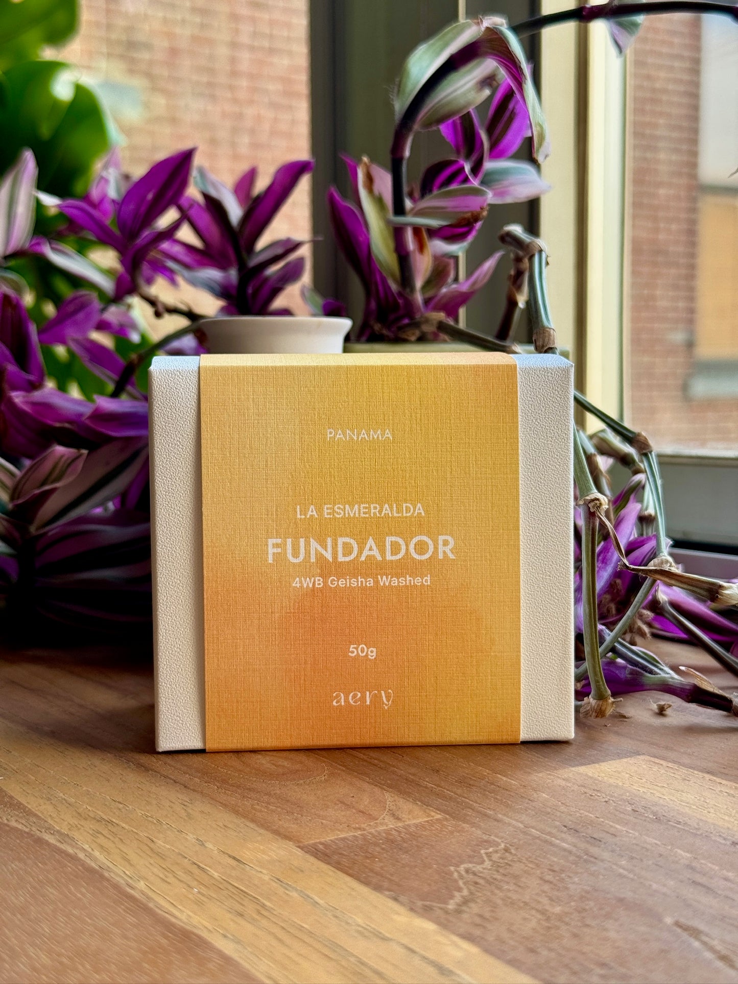ESMERALDA FUNDADOR - GEISHA, WASHED - PANAMA