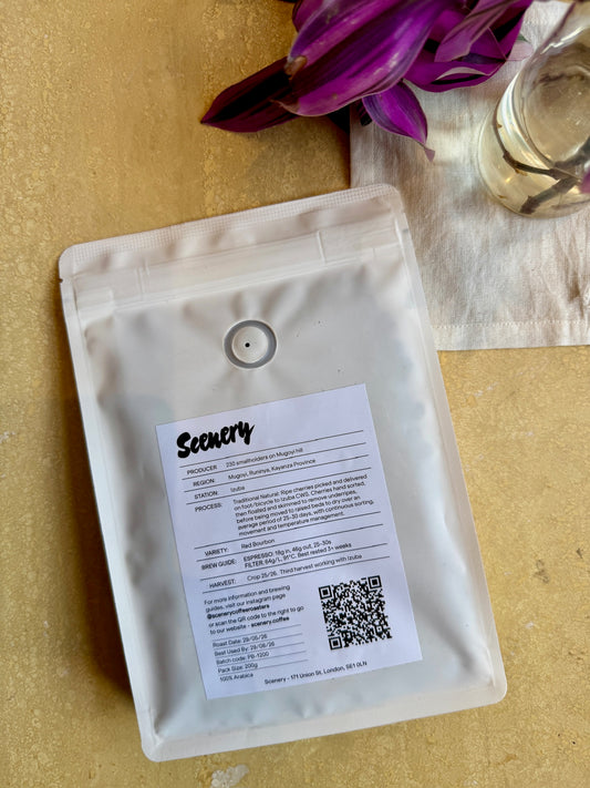 IZUBA MUGOYI [25/26] - RED BOURBON, NATURAL - BURUNDI