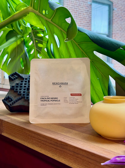 FINCA RIO NEGRO TROPICAL POPSICLE - PINK BOURBON - COLOMBIA