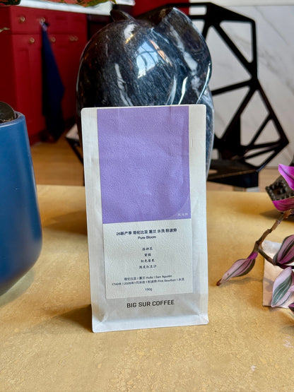 HUILA PINK BOURBON PURE BLOOM - PINK BOURBON, WASHED - COLOMBIA