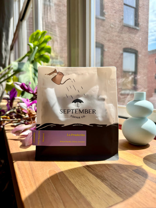 LA PRADERITA - PINK BOURBON, WASHED - COLOMBIA