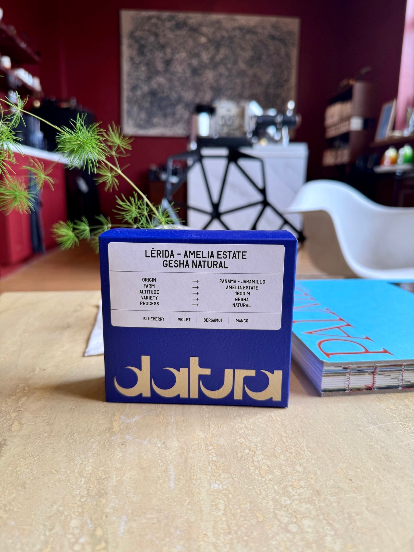 LÉRIDA - AMELIA ESTATE - GESHA, NATURAL - PANAMA