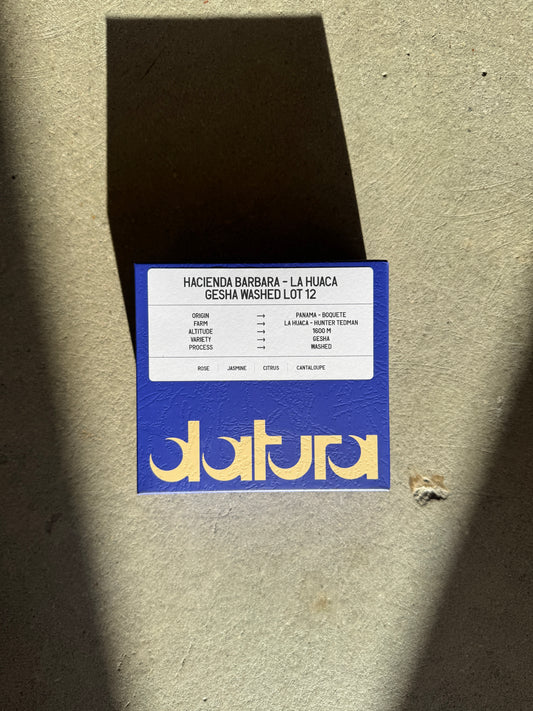 DATURA - HACIENDA BARBARA - LA HUACA GESHA WASHED LOT 12