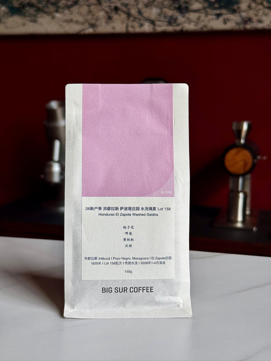 EL ZAPOTE LOT 158 - GEISHA, WASHED - HONDURAS