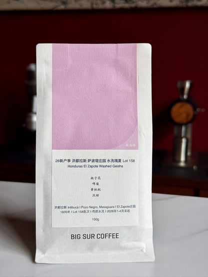 EL ZAPOTE LOT 158 - GEISHA, WASHED - HONDURAS