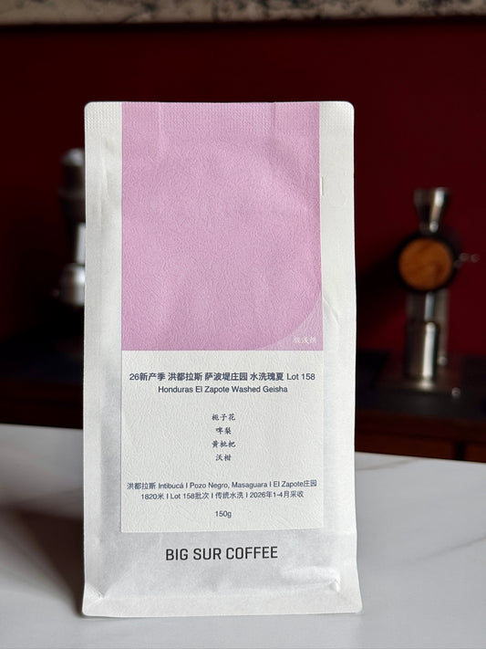 EL ZAPOTE LOT 158 - GEISHA, WASHED - HONDURAS