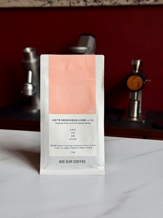 FINCA LOS PINOS LOT 159 - GEISHA, WASHED - HONDURAS