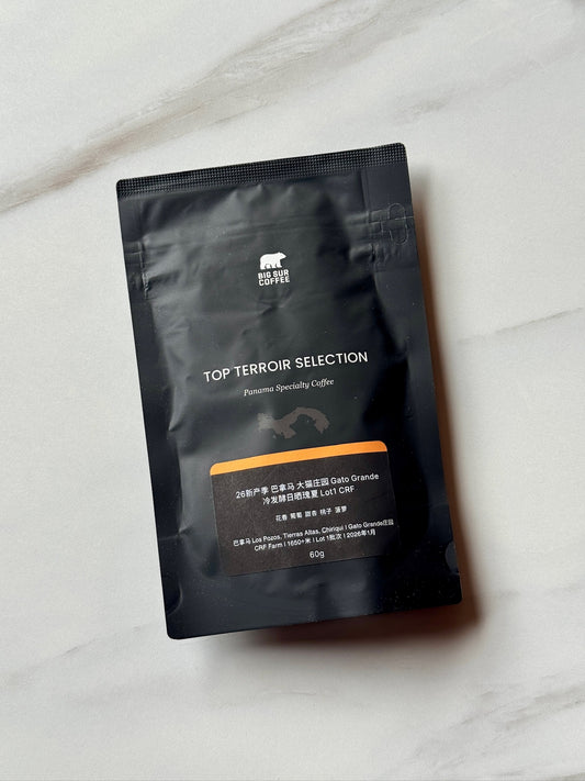 GATO GRANDE LOT 1 CRF - GEISHA, COLD FERMENTATION NATURAL - PANAMA